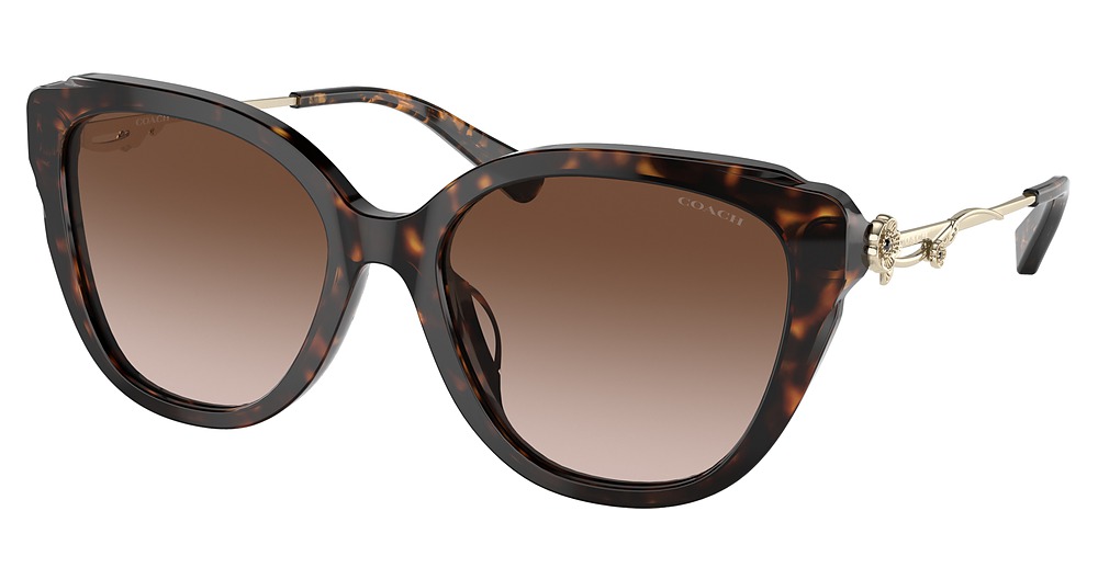 DARK TORTOISE / BROWN GRADIENT