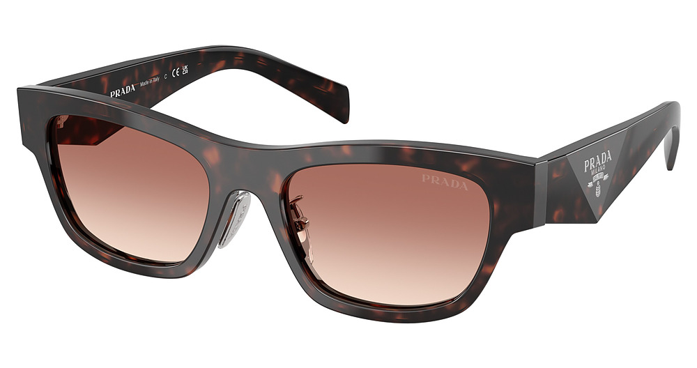 ROOT TORTOISE / LIGHT BROWN GRADIENT BORDEAUX
