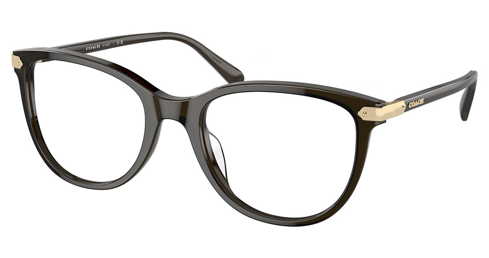 TRANSPARENT OLIVE