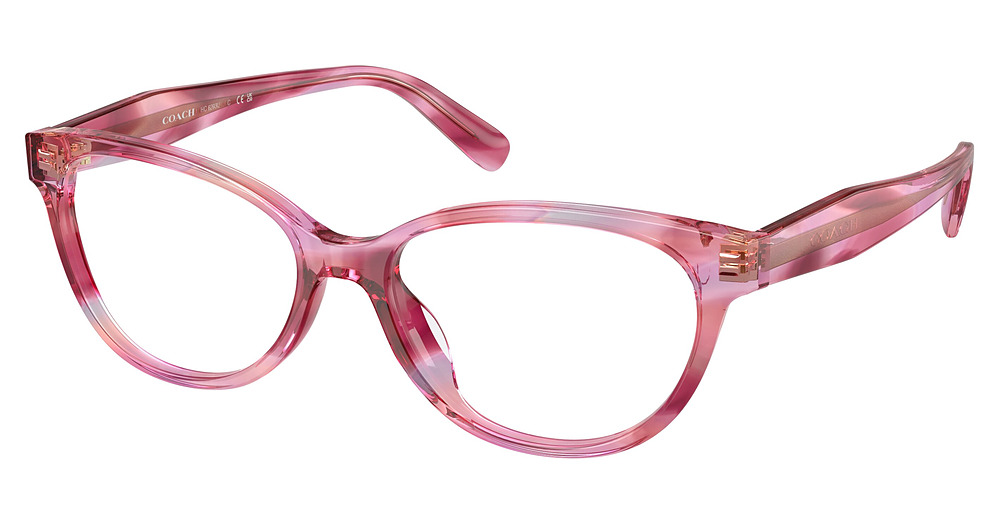 PURPLE COSMO TORTOISE