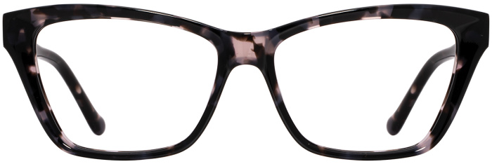 Ebony Tortoise