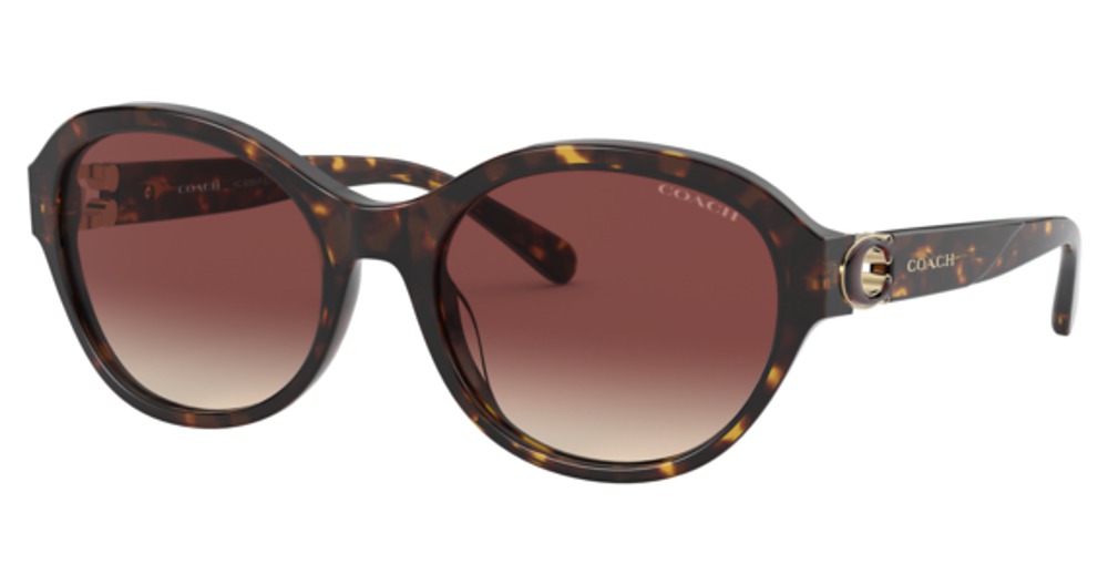 DARK TORTOISE / BROWN GRADIENT