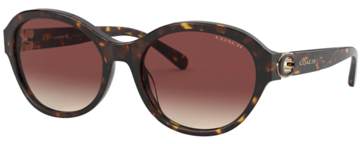 DARK TORTOISE / BROWN GRADIENT