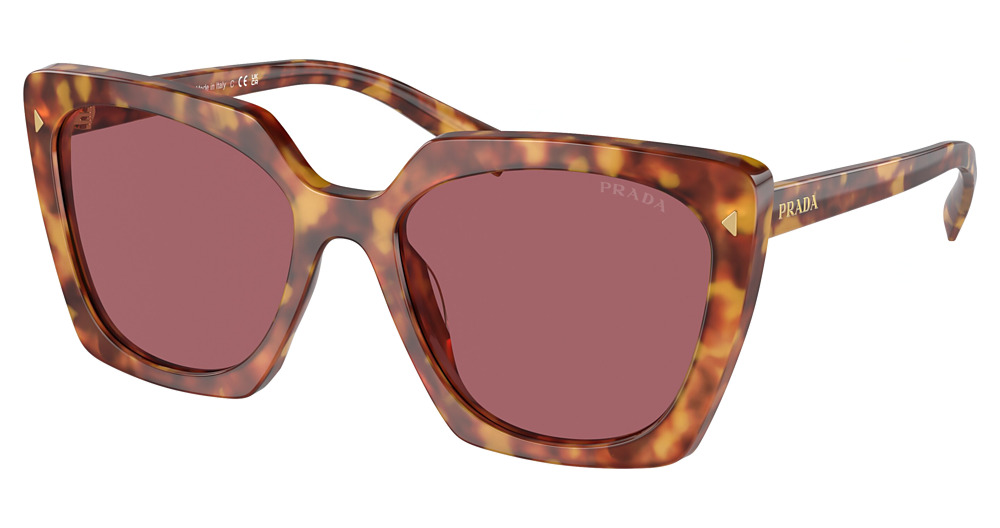 LIGHT TORTOISE / DARK VIOLET