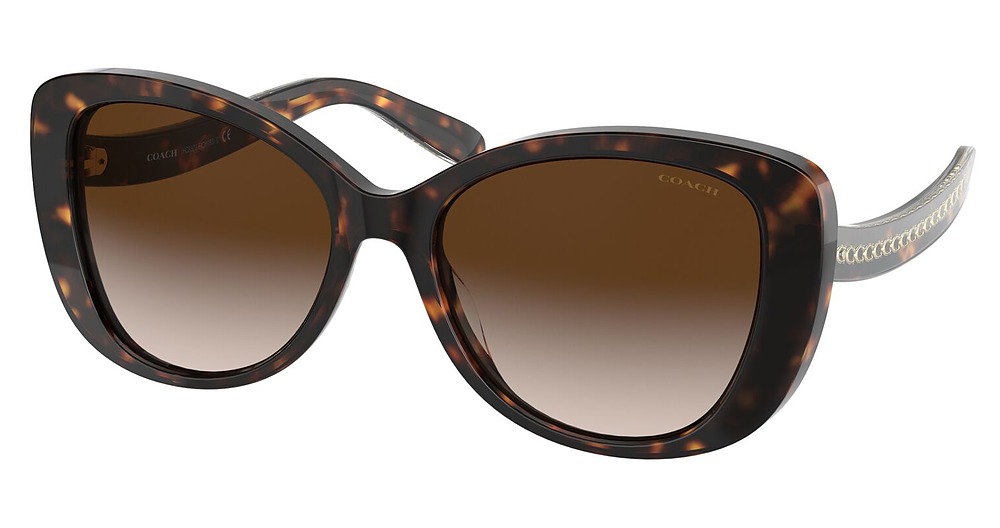 DARK TORTOISE / BROWN GRADIENT