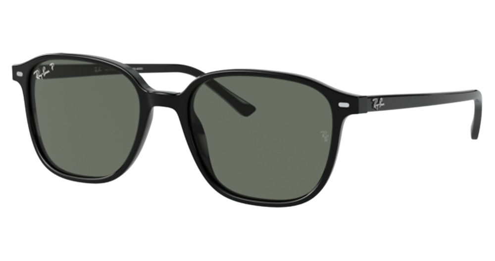 Ray-Ban RB2193 LEONARD round sunglasses in Black/G 15 Green
