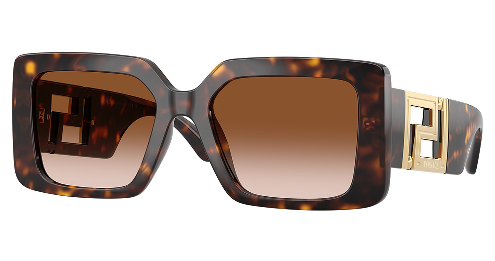 HAVANA / BROWN GRADIENT