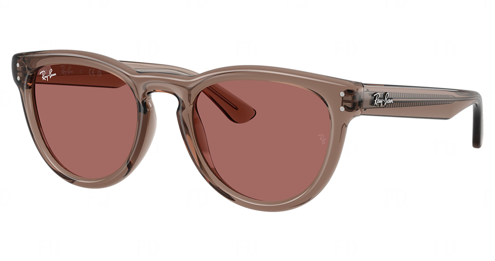TRANSPARENT LIGHT BROWN / DARK VIOLET