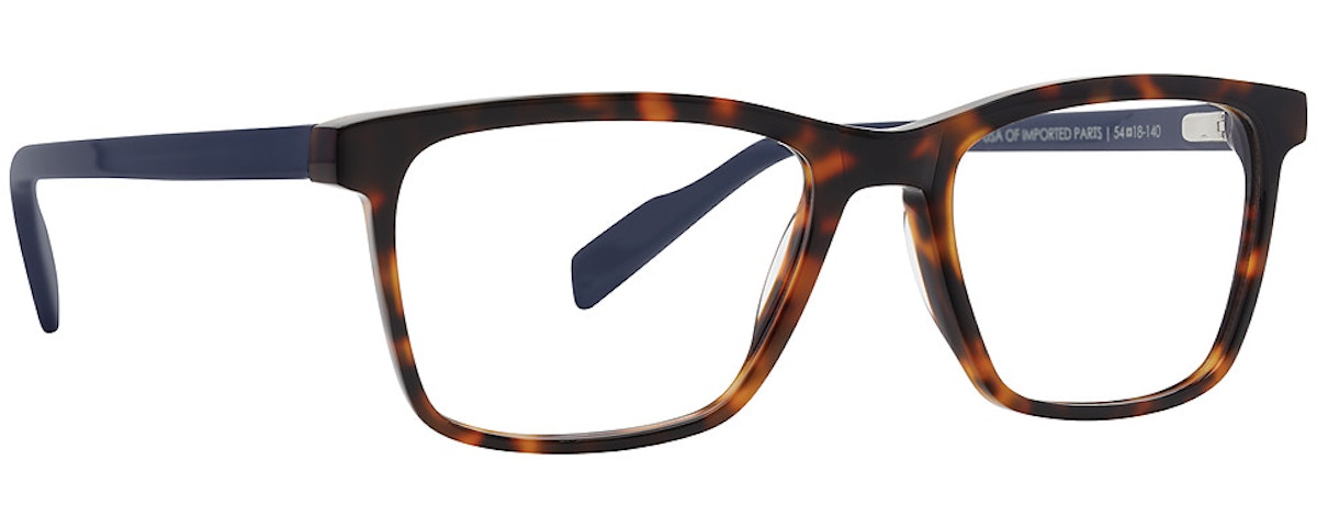 TORTOISE/BLUE