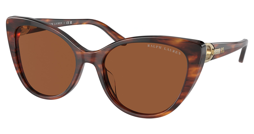 STRIPPED HAVANA / GRADIENT BROWN