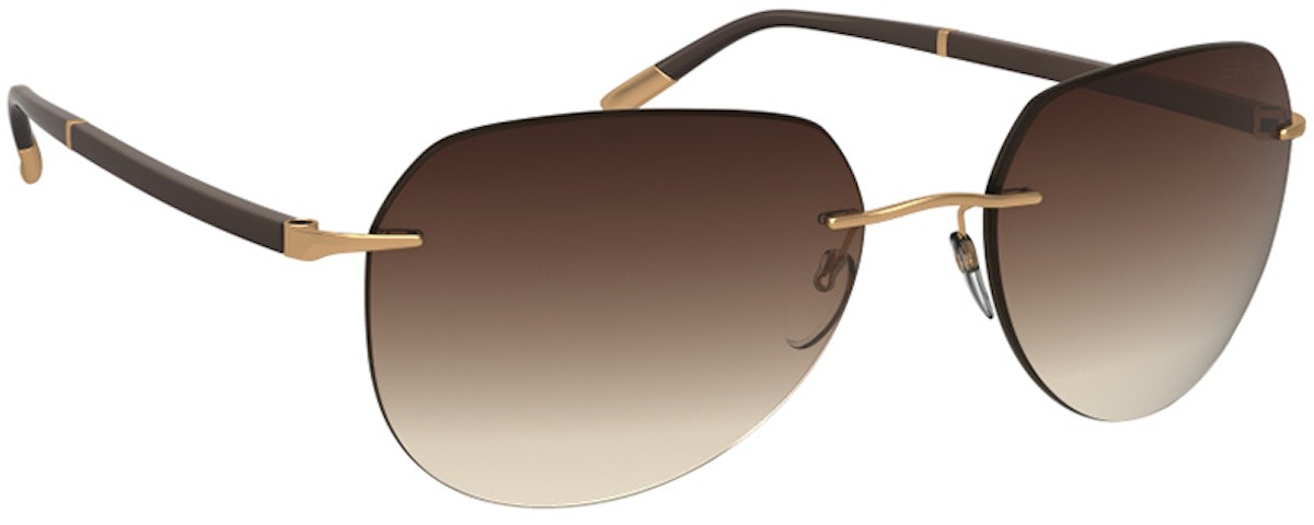 Gold / Chocolate Brown