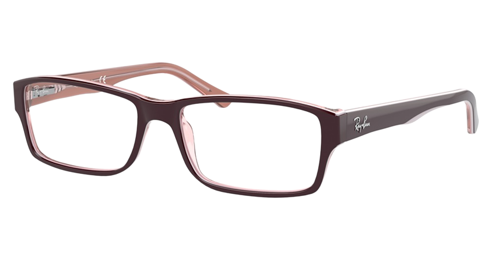 Ray-Ban RX5169 rectangle eyeglasses in Brown on Trasparent Pink
