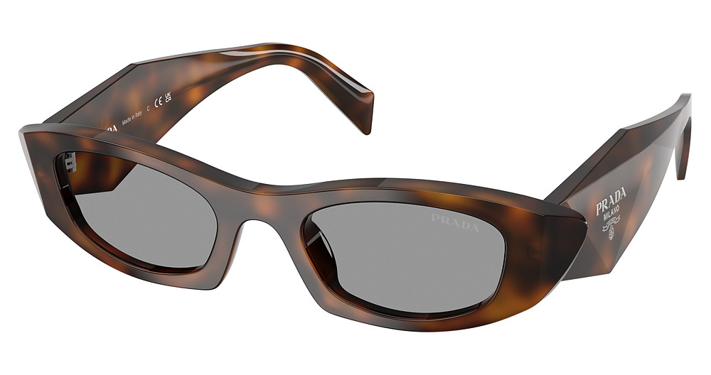 JUNIPER TORTOISE / GREY