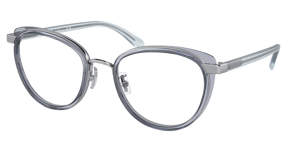 SILVER / TRANSPARENT BLU