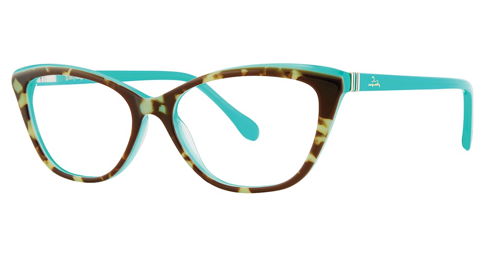 Teal Tortoise
