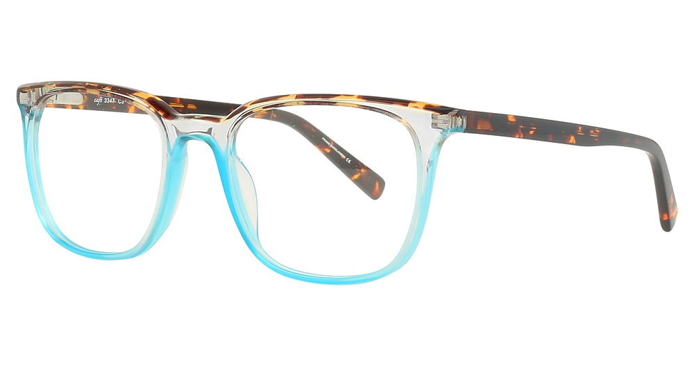 Tortoise/Aqua