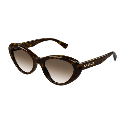 HAVANA-HAVANA-BROWN / BROWN
