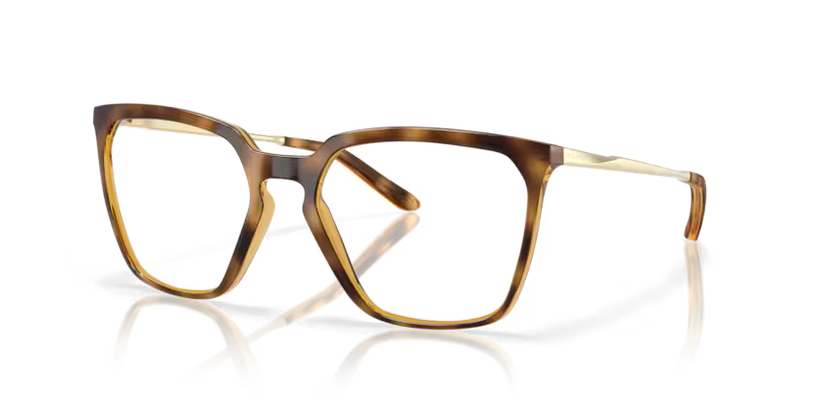 POLISHED BROWN TORTOISE