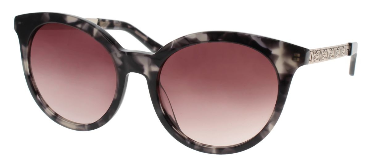 BLACK TORTOISE