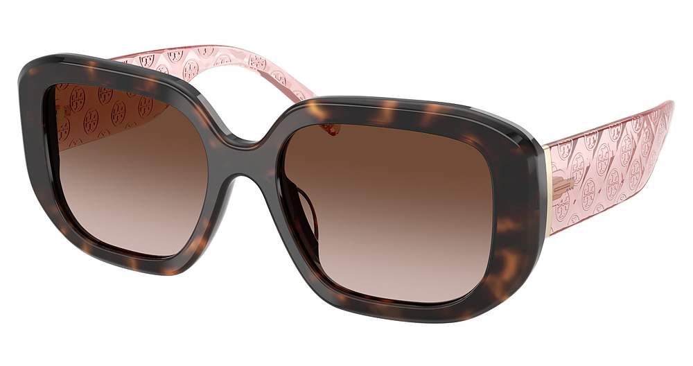 DARK TORTOISE / GRADIENT BROWN