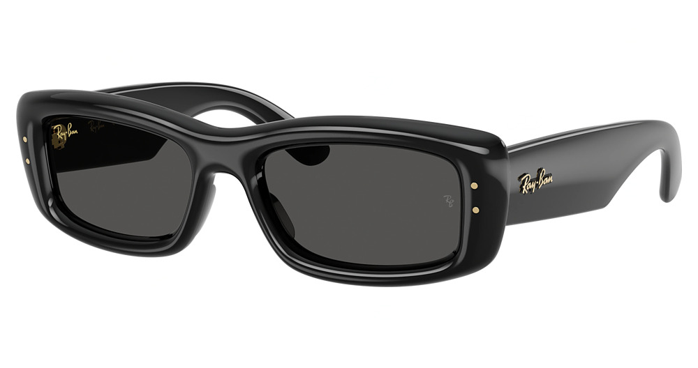 Ray-Ban RB4944 rectangle sunglasses in Black/Ultra Black