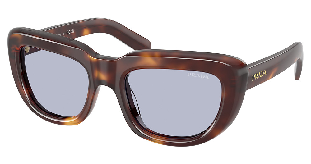 CLASSIC TORTOISE / BLUE