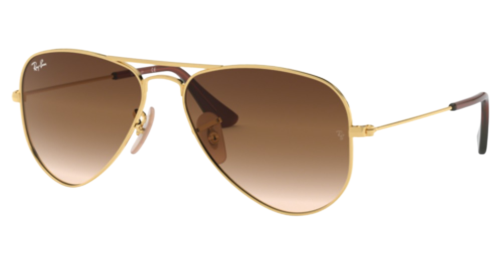 ARISTA / BROWN GRADIENT DARK BROWN