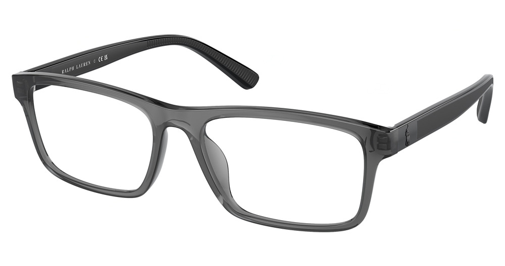 SHINY TRANSPARENT GREY