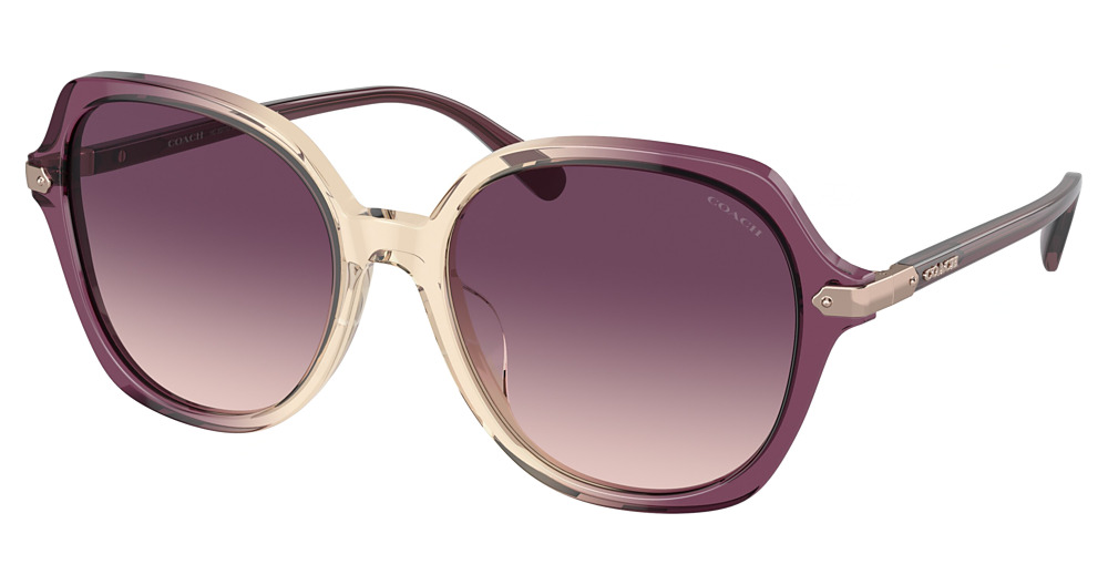 PURPLE BEIGE GRADIENT / PURPLE GRADIENT