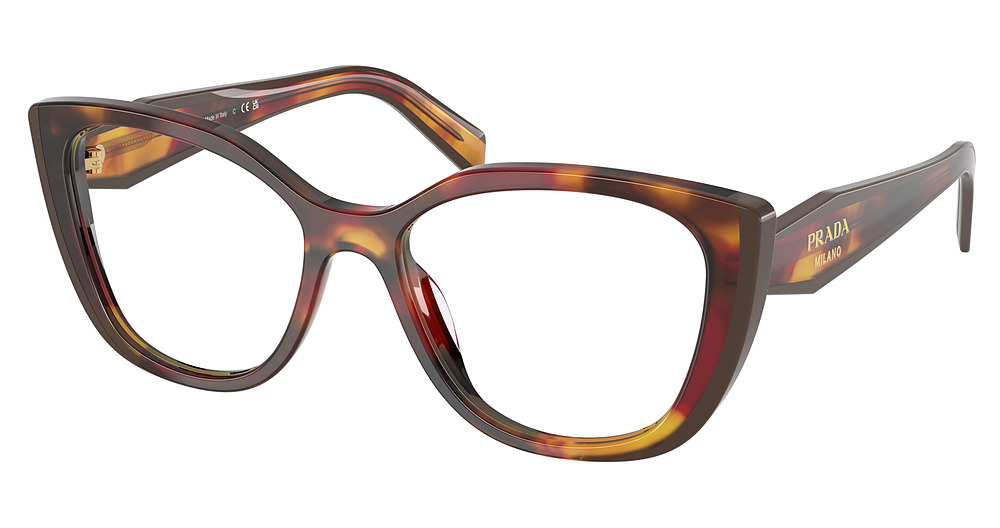 POPPY TORTOISE/BORDEAUX