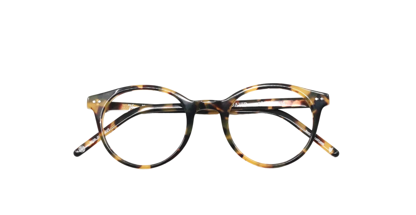 Tokyo Tortoise Shine