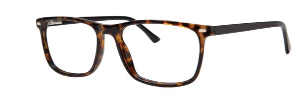 Tortoise/Black