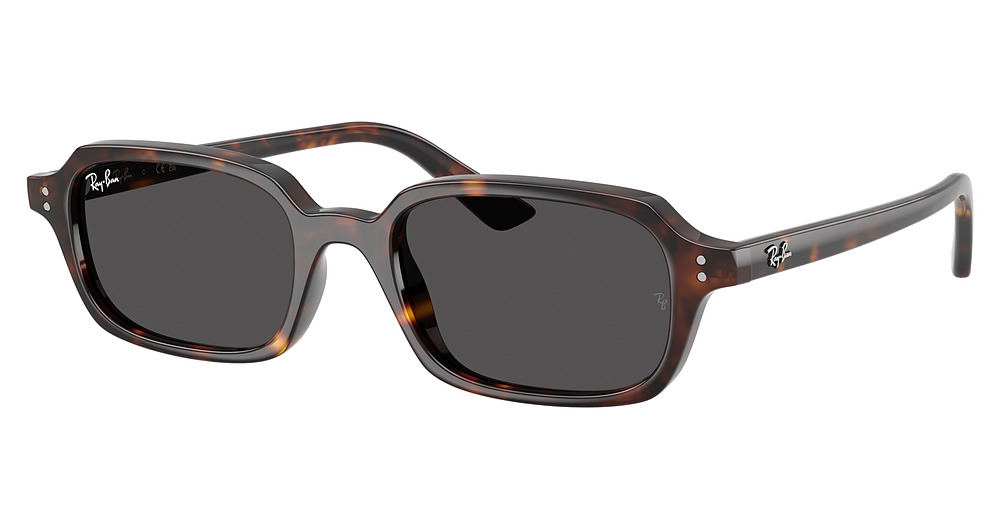 Ray-Ban RB4455 ZURI round sunglasses in Havana/Dark Grey