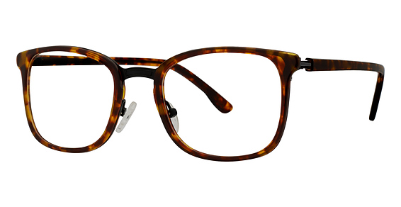 TORTOISE/BLACK
