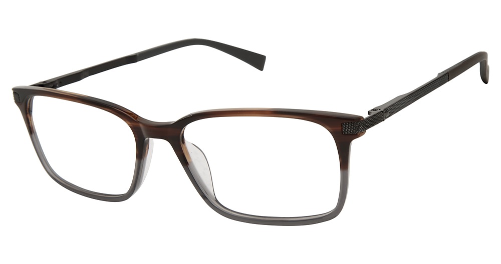 tortoise grey