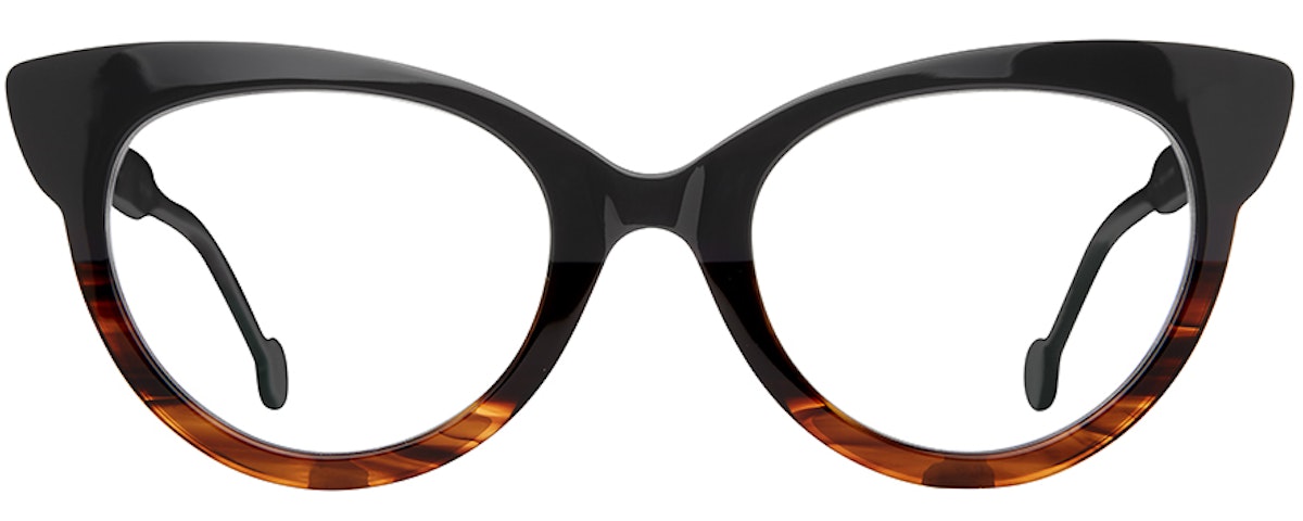 Wingtip Tortoise