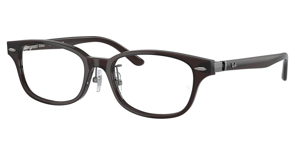 Ray-Ban RX5427D round eyeglasses in Transparent Brown