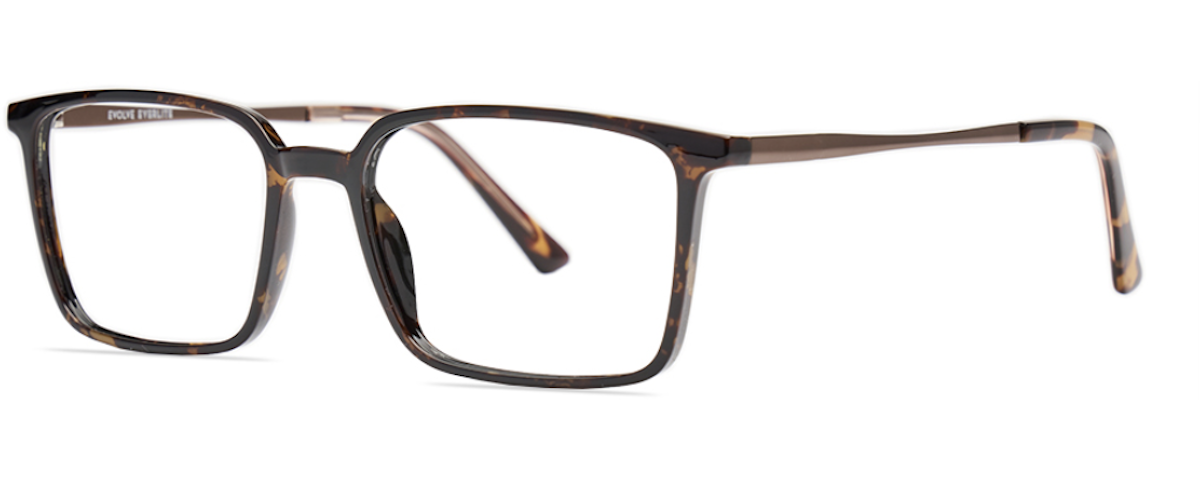 Tortoise w/Brown