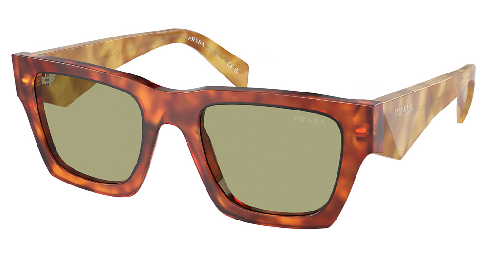 COGNAC TORTOISE / GREEN
