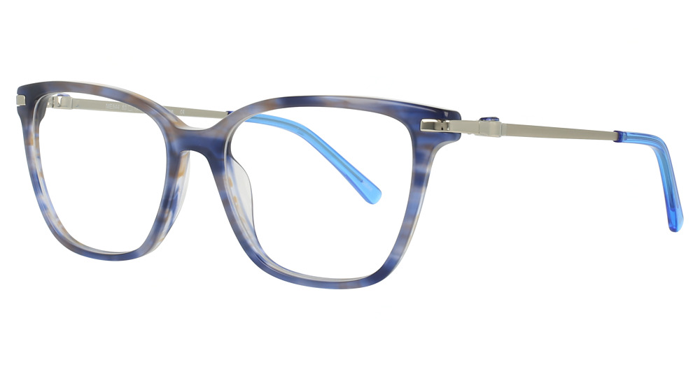 Blue Tortoise