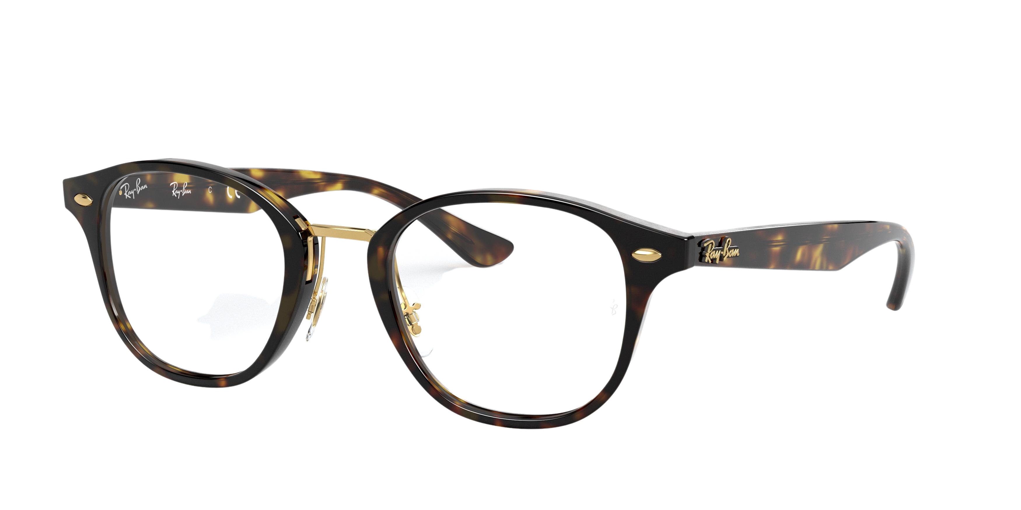 Ray-Ban RX5355F square eyeglasses in Top Brown Havana/Havana Brown