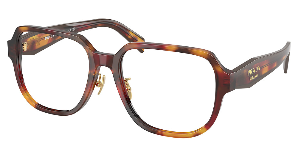 POPPY TORTOISE/BORDEAUX