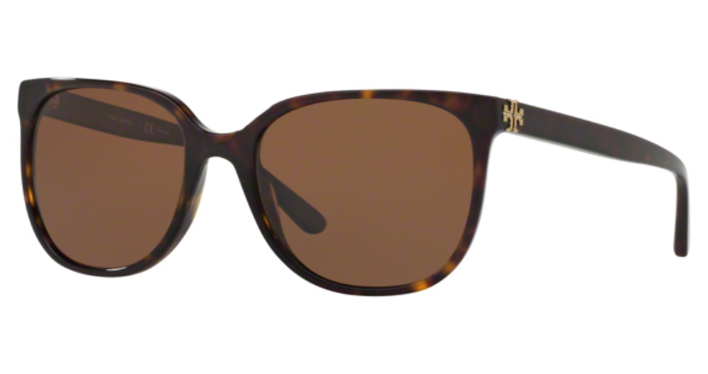 DARK TORTOISE / SOLID BROWN POLARIZED