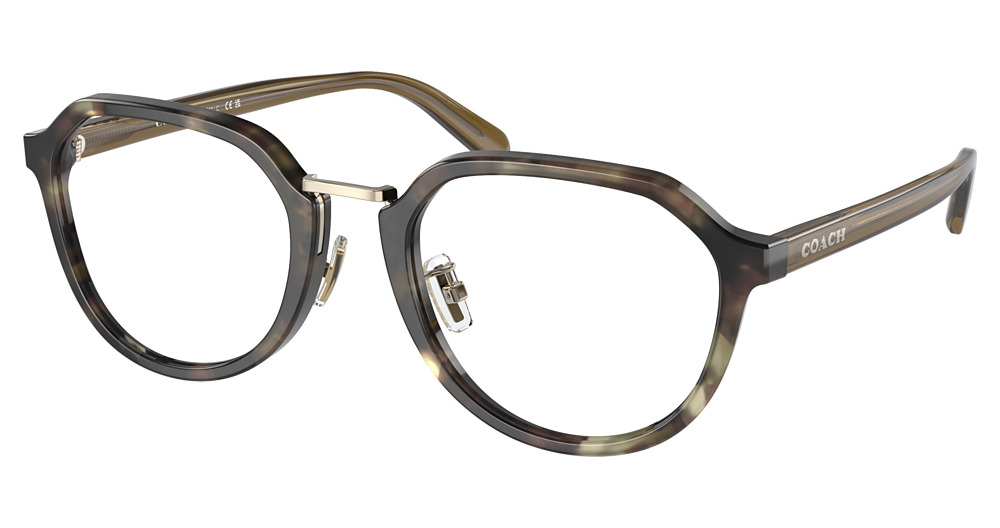 SAGE TORTOISE