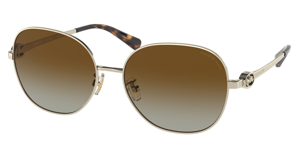 LIGHT GOLD / BROWN GRADIENT POLAR