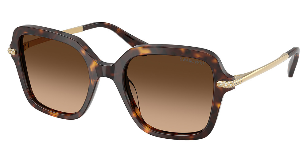 HAVANA / GRADIENT BROWN