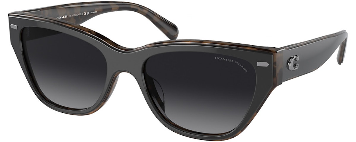 BLACK / DARK TORTOISE / GREY GRADIENT POLAR