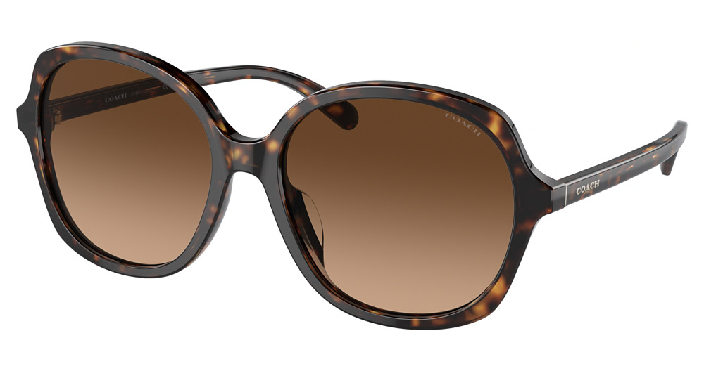 DARK TORTOISE / BROWN GRADIENT