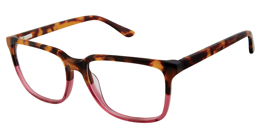 tortoise/raspberry