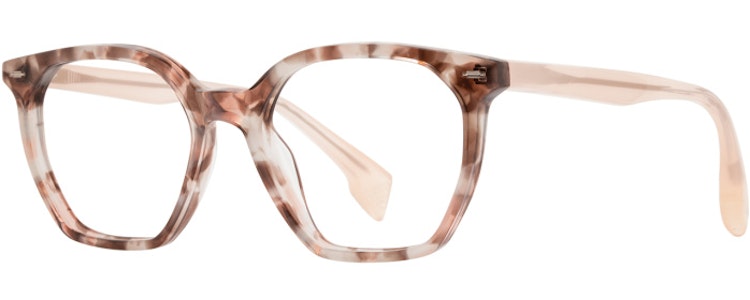 Neopolitan Shell